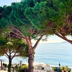 Les Pieds Dans L'eau à Cavalière Appartement Le Lavandou